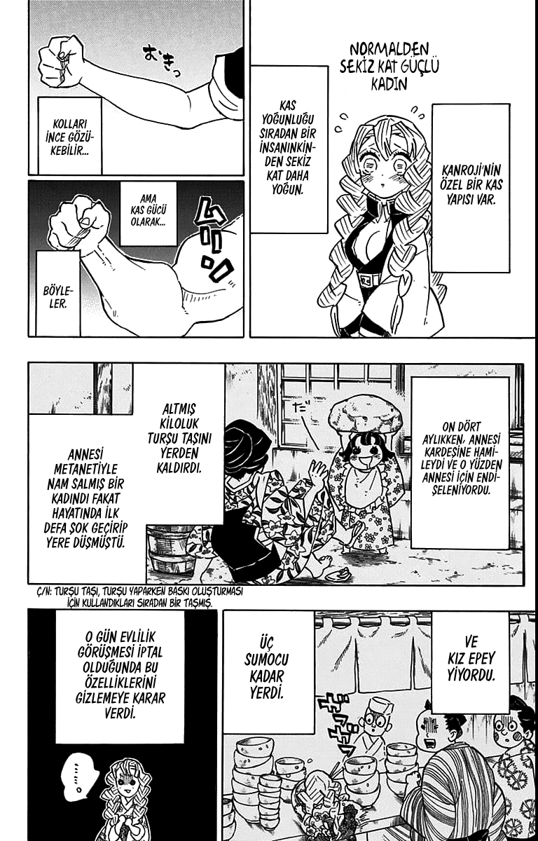Read Kimetsu no Yaiba TR Manga Online