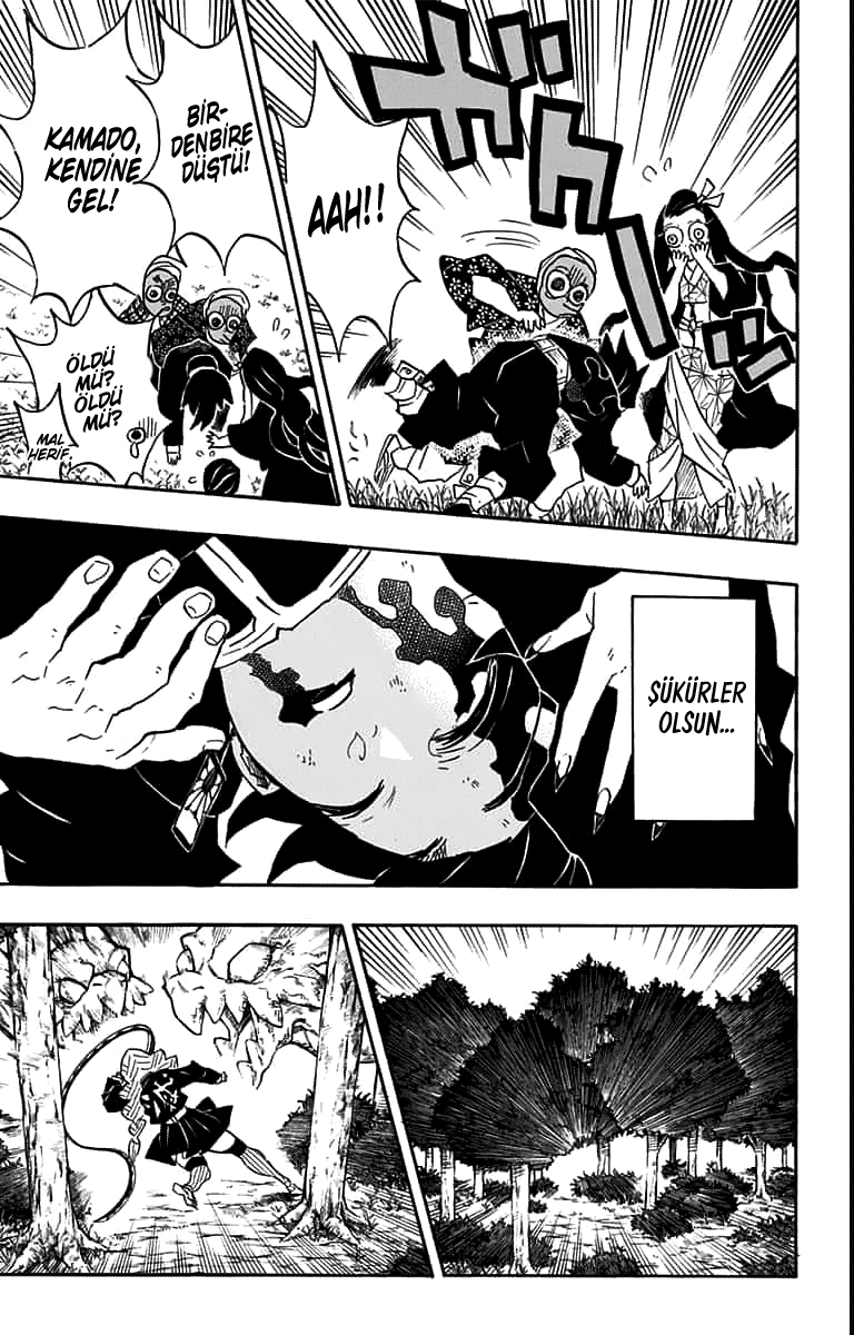 Read Kimetsu no Yaiba TR Manga Online