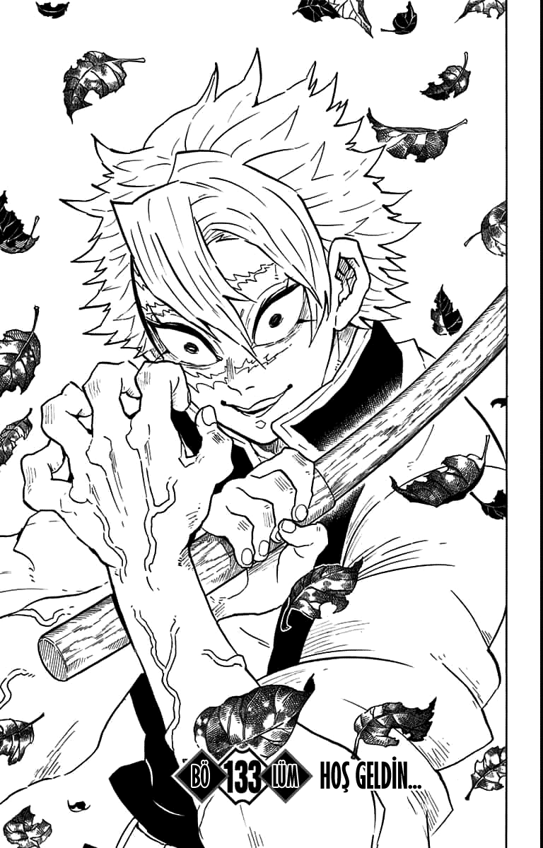 Read Kimetsu no Yaiba TR Manga Online
