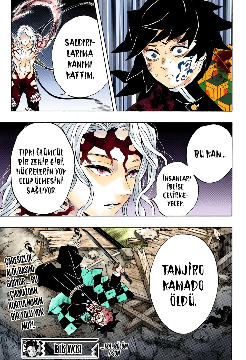 Read Kimetsu no Yaiba TR Manga Online