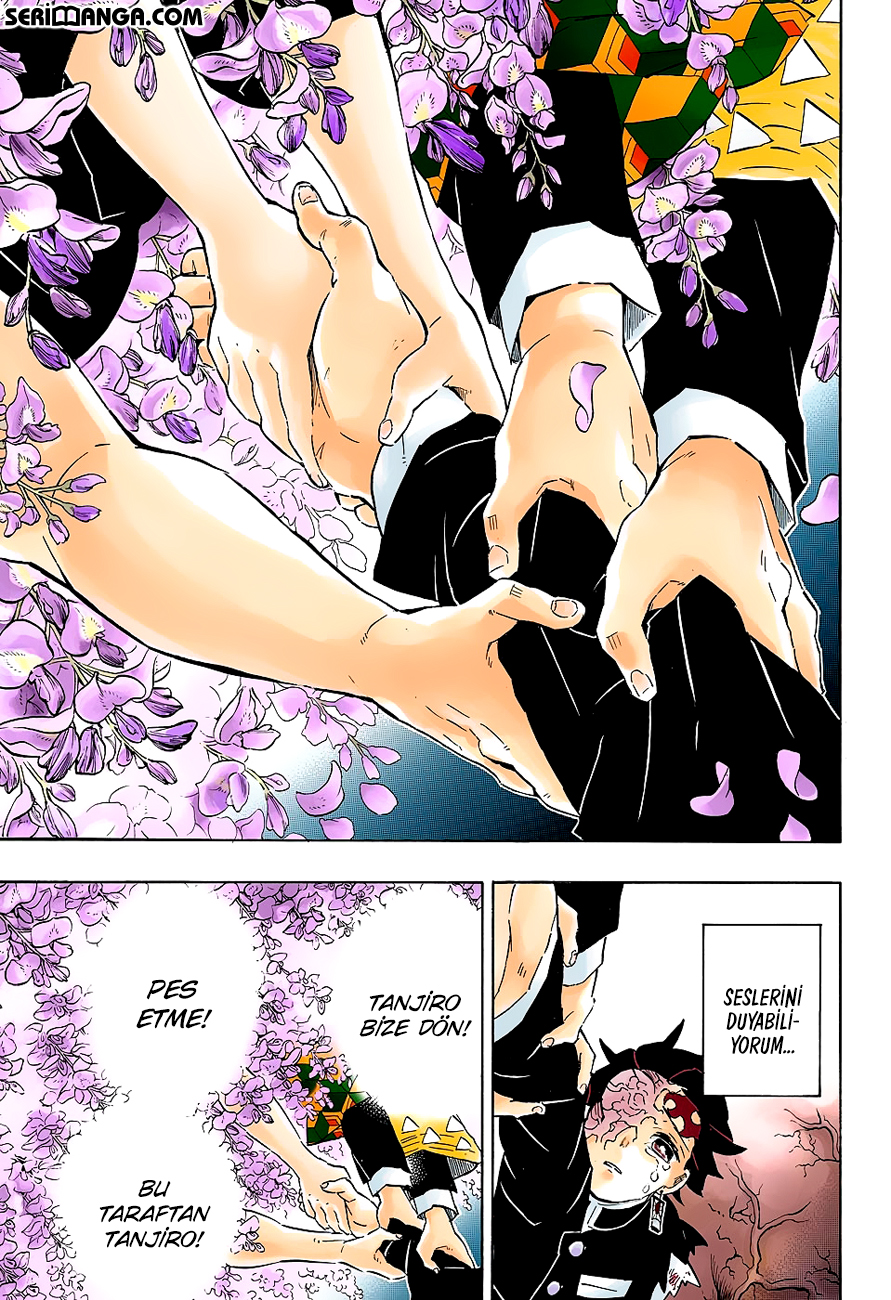 Read Kimetsu no Yaiba TR Manga Online
