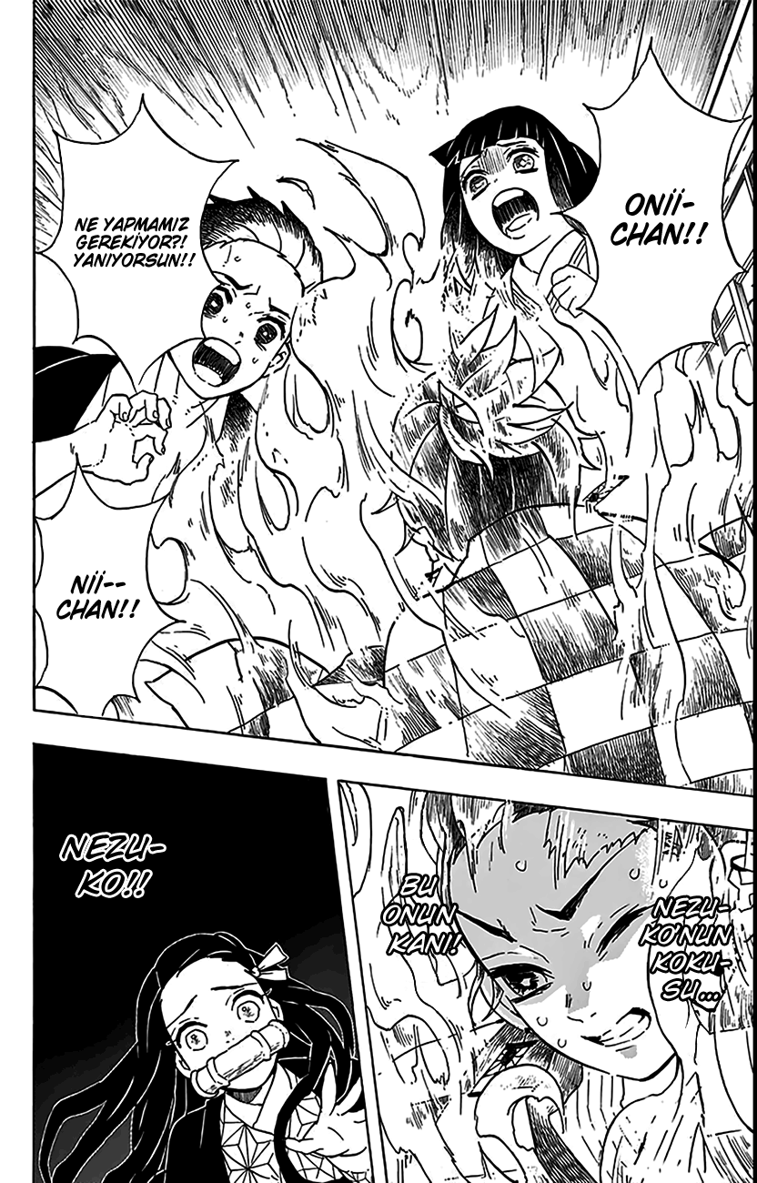Read Kimetsu no Yaiba TR Manga Online