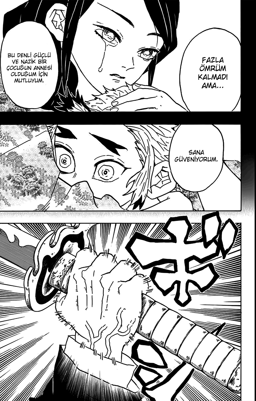 Read Kimetsu no Yaiba TR Manga Online