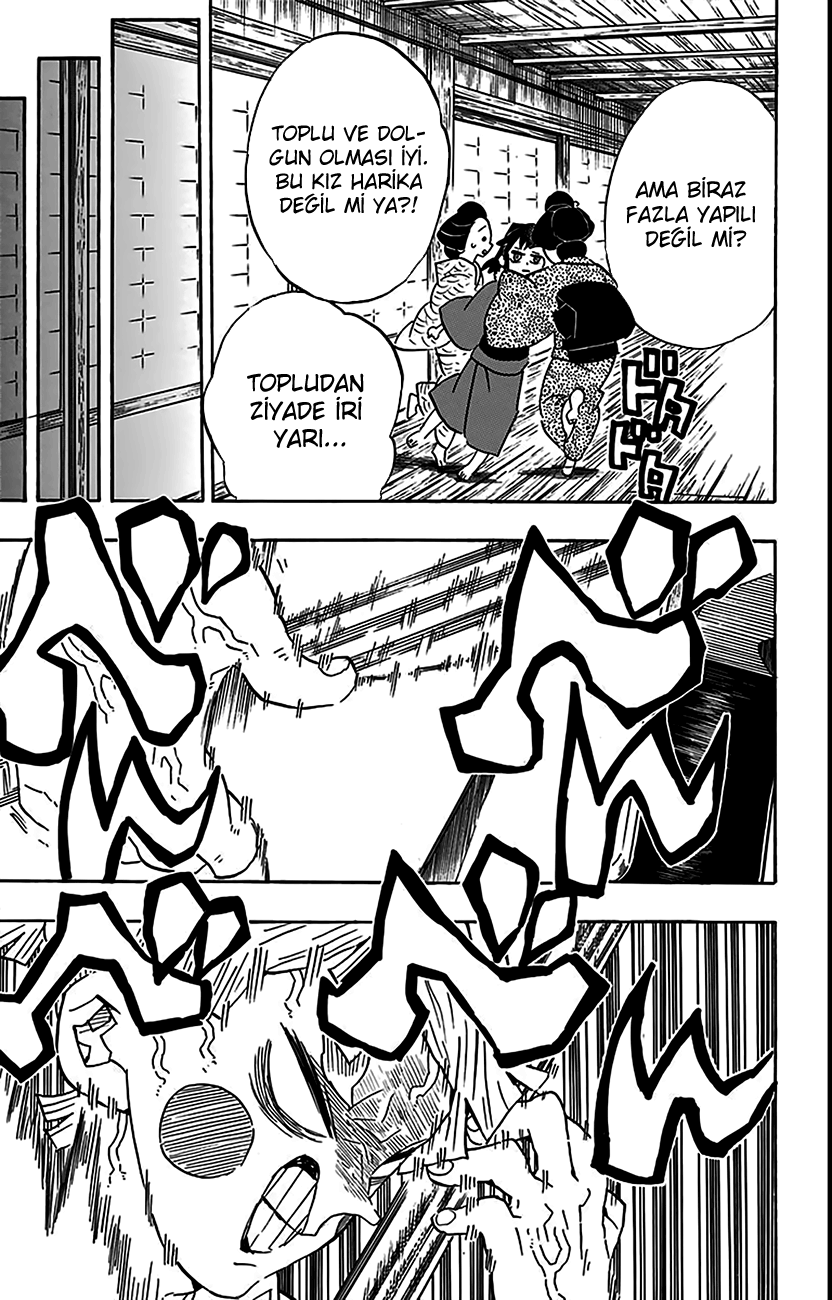 Read Kimetsu no Yaiba TR Manga Online
