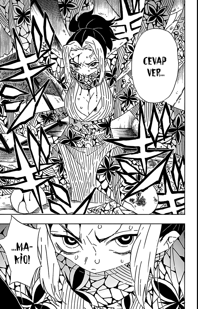 Read Kimetsu no Yaiba TR Manga Online