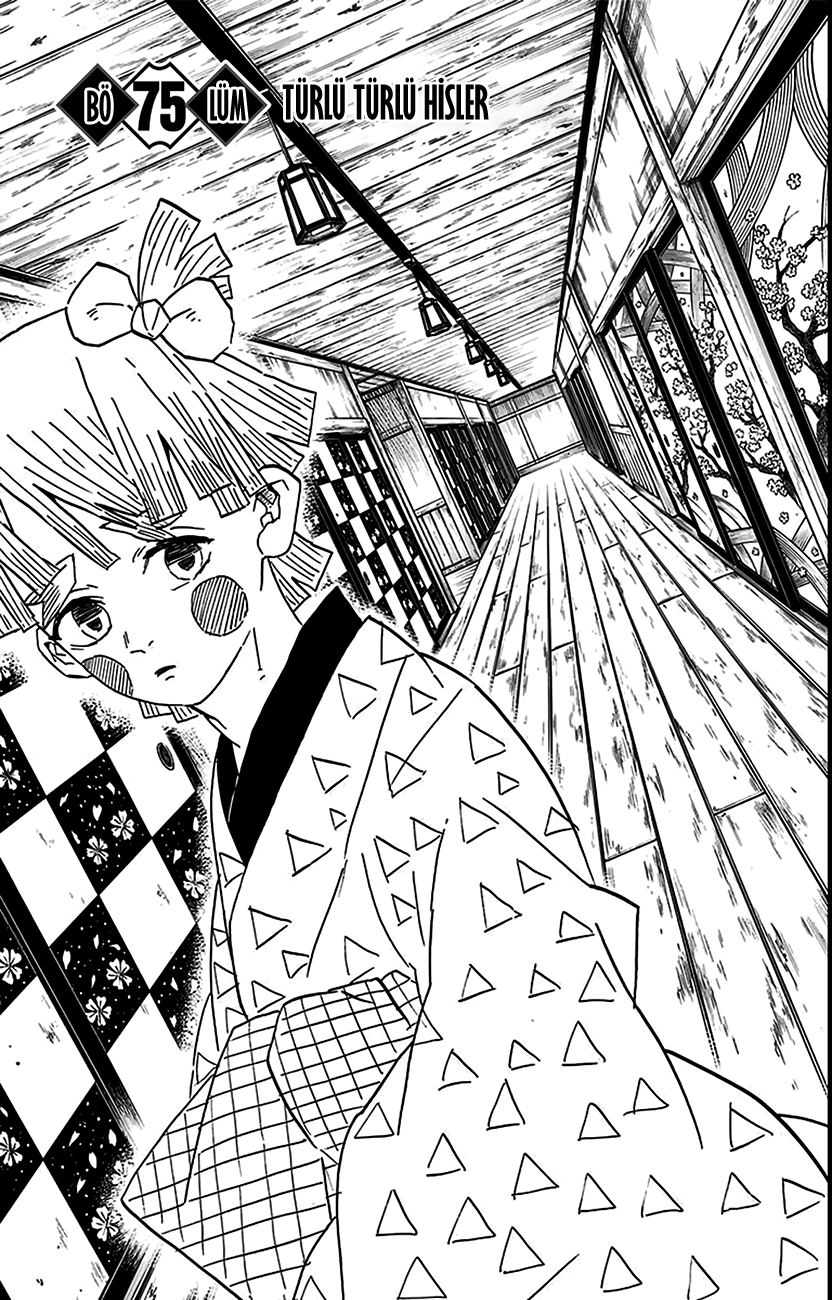 Read Kimetsu no Yaiba TR Manga Online