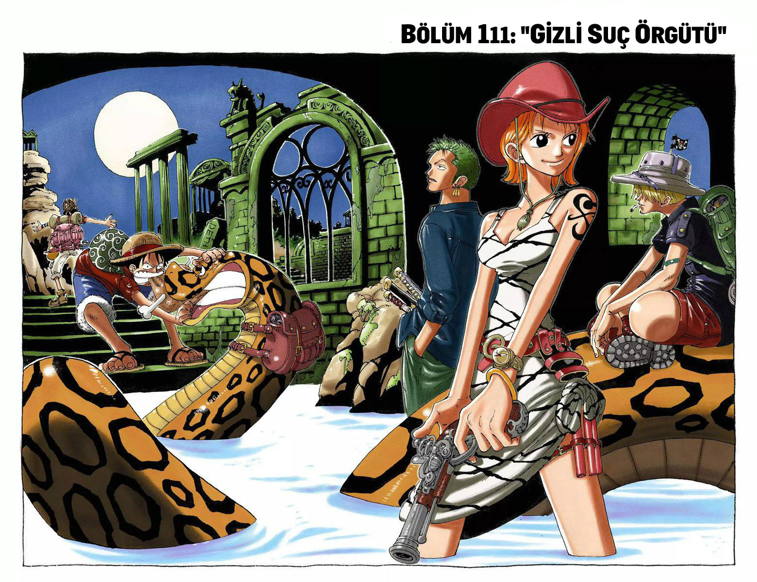Read One Piece TR Manga Online