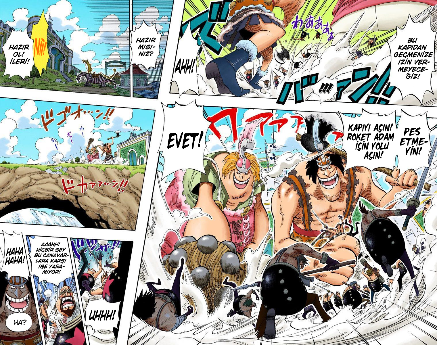 Read One Piece TR Manga Online
