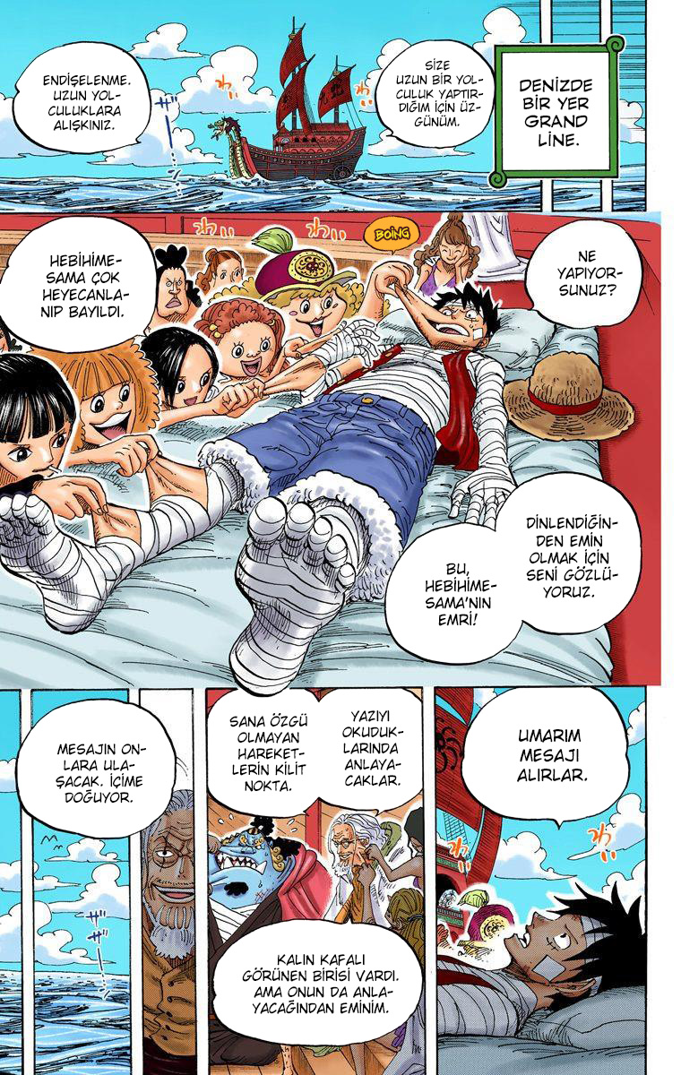 Read One Piece TR Manga Online