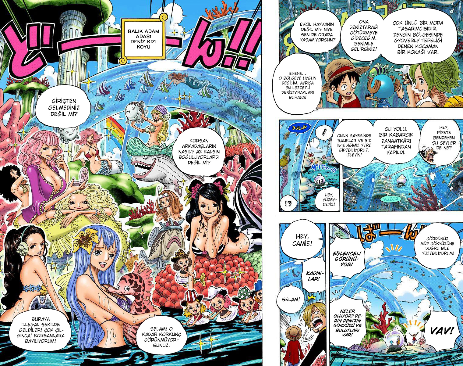 Read One Piece TR Manga Online