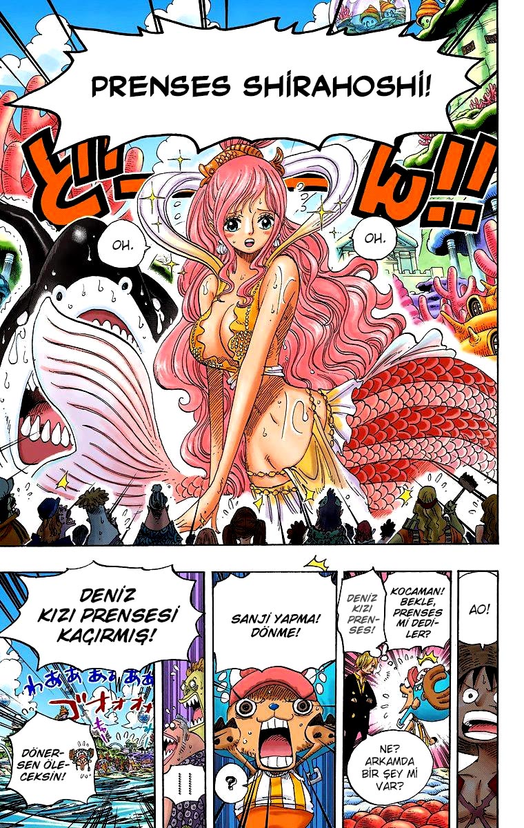 Read One Piece TR Manga Online