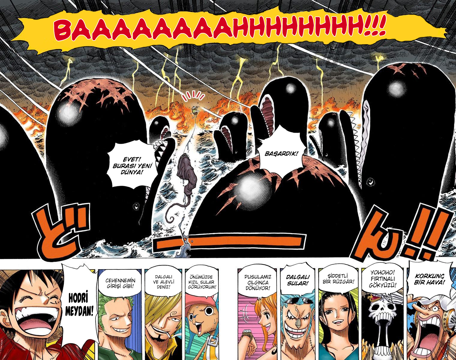 Read One Piece TR Manga Online