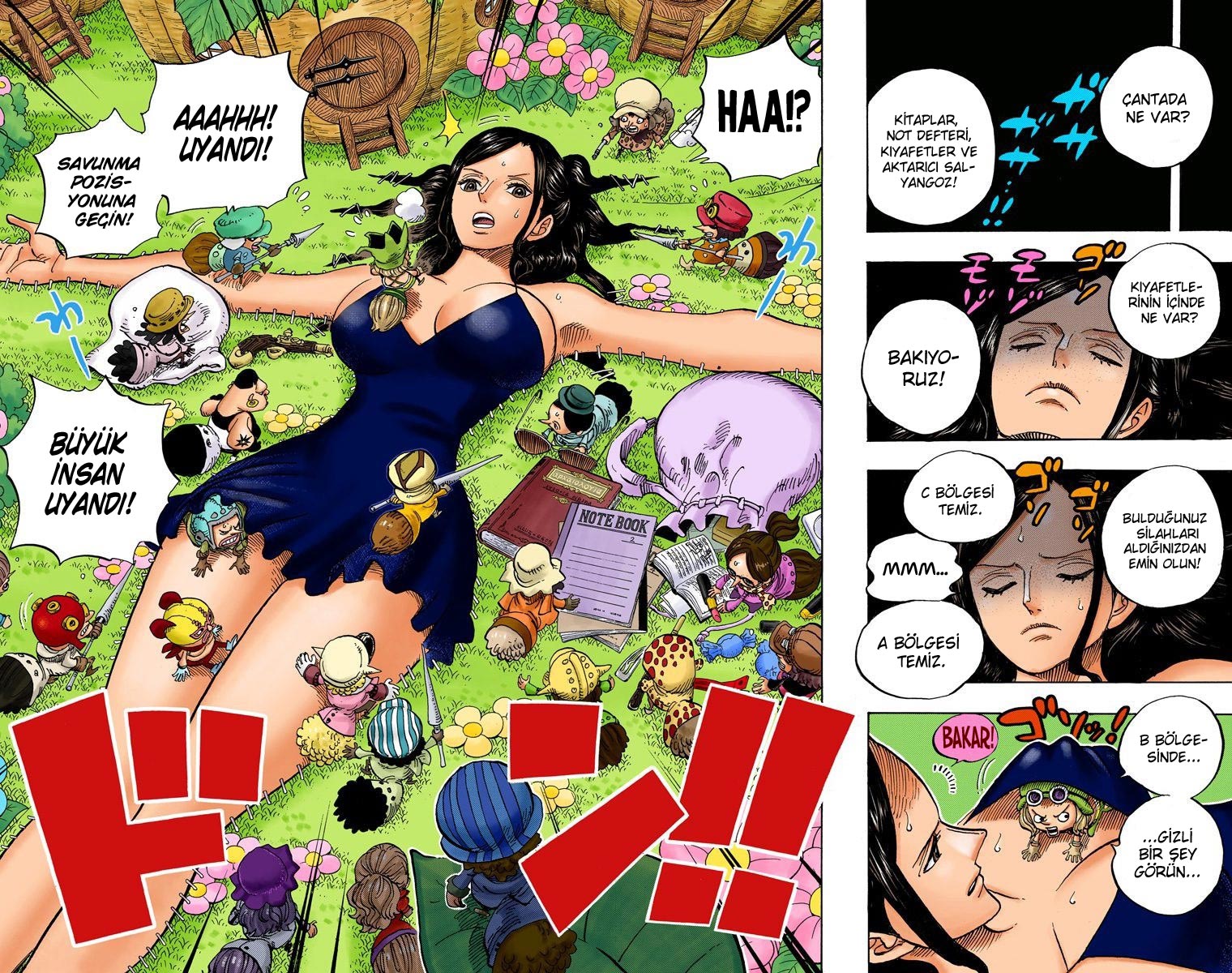 Read One Piece TR Manga Online