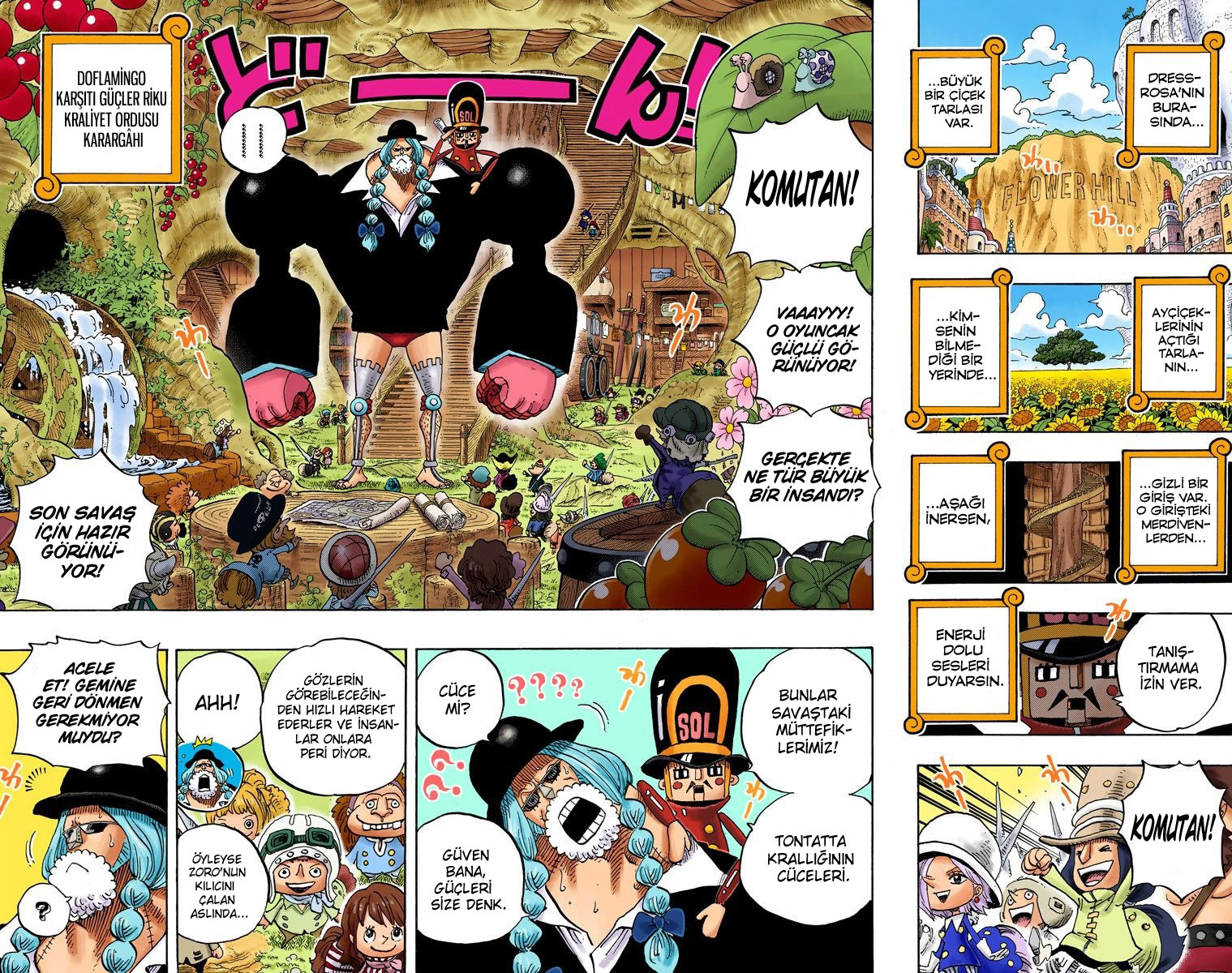 Read One Piece TR Manga Online