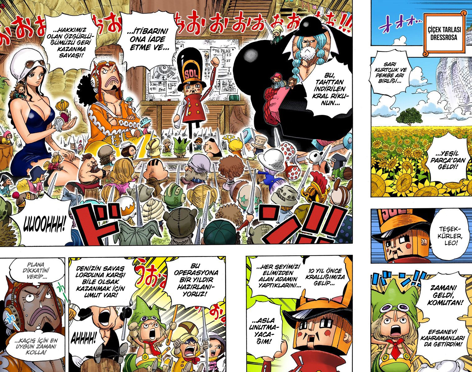 Read One Piece TR Manga Online