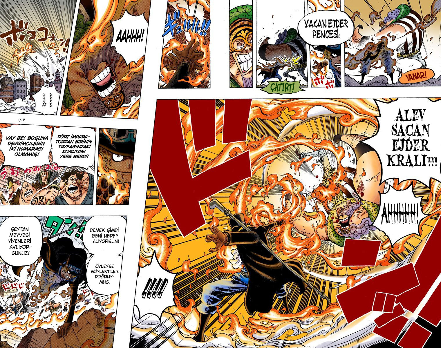 Read One Piece TR Manga Online
