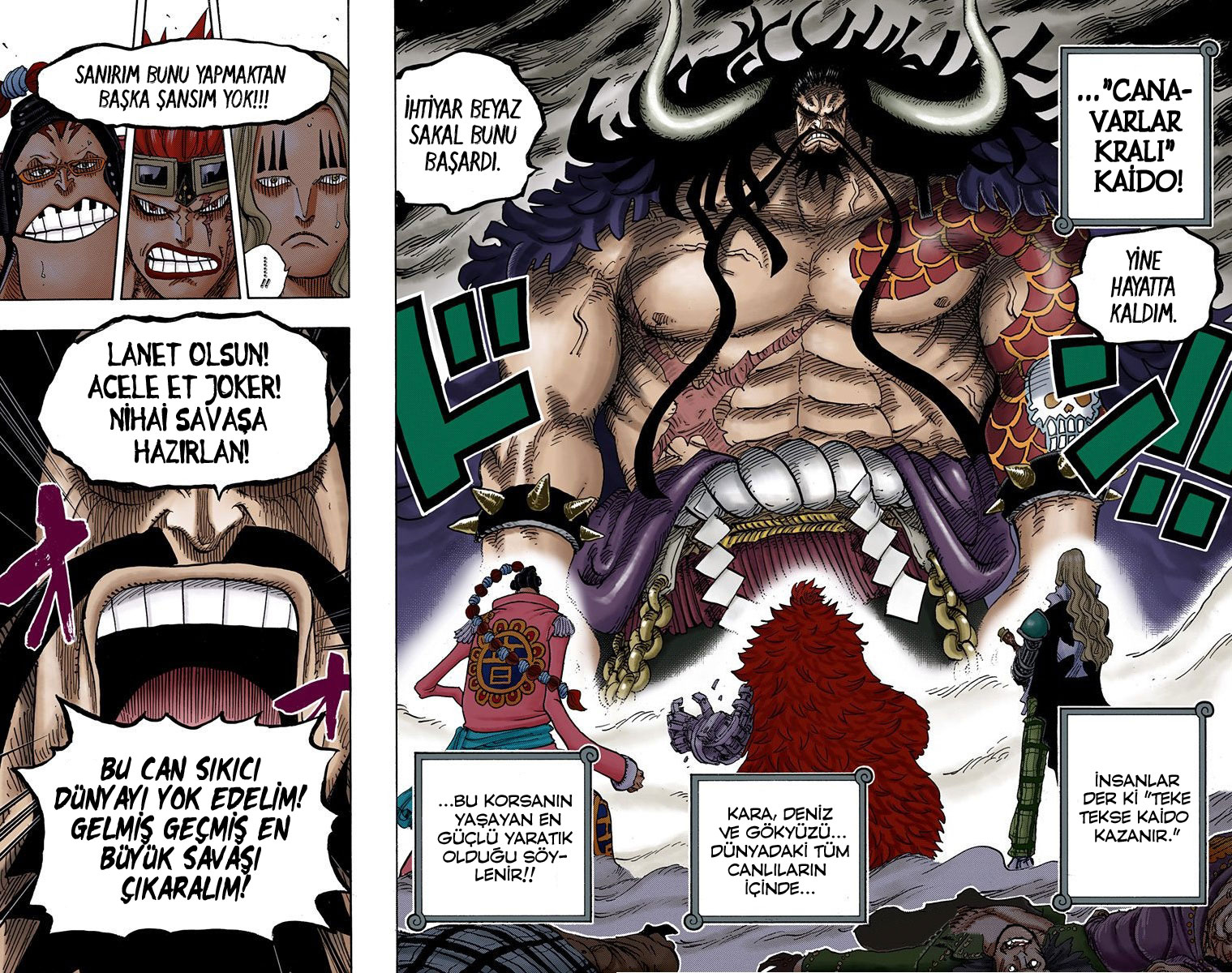 Read One Piece TR Manga Online