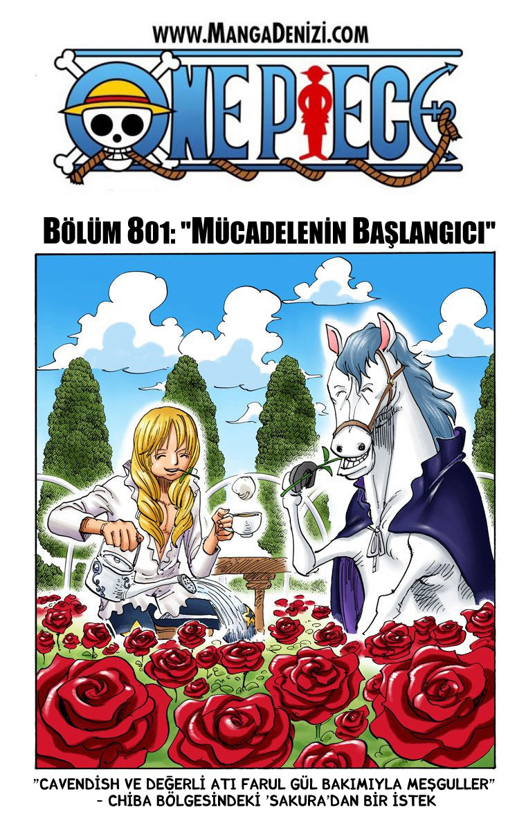 Read One Piece TR Manga Online