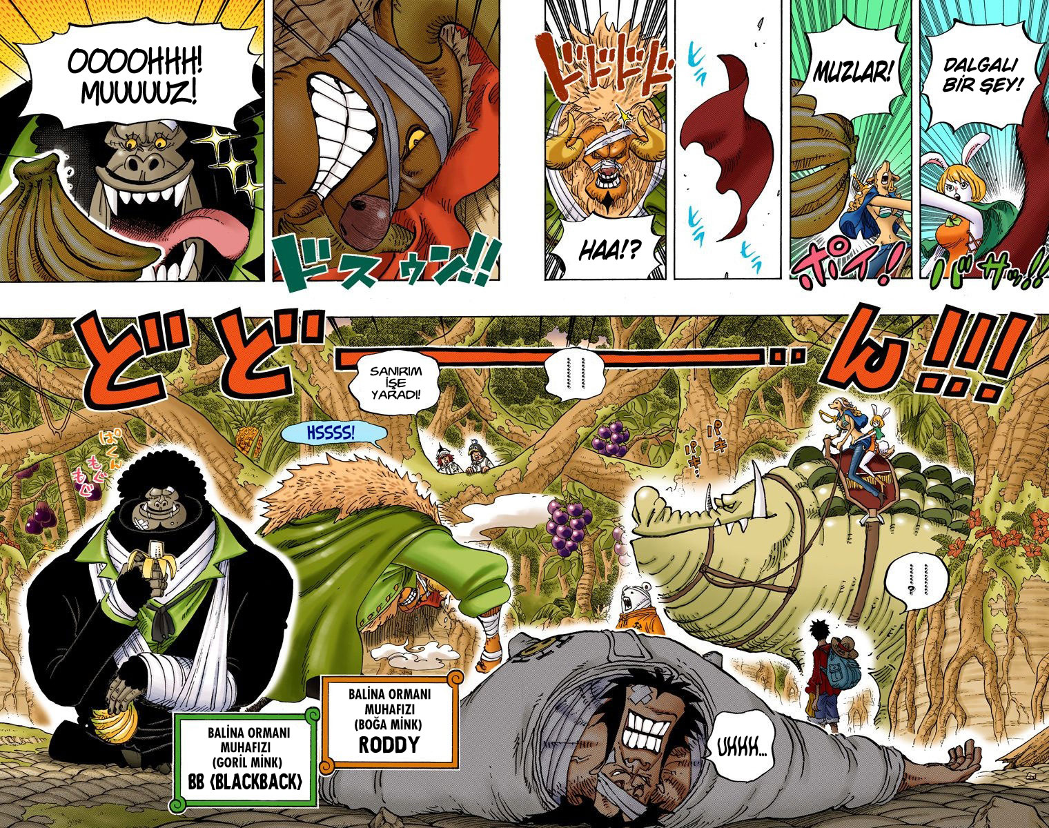 Read One Piece TR Manga Online