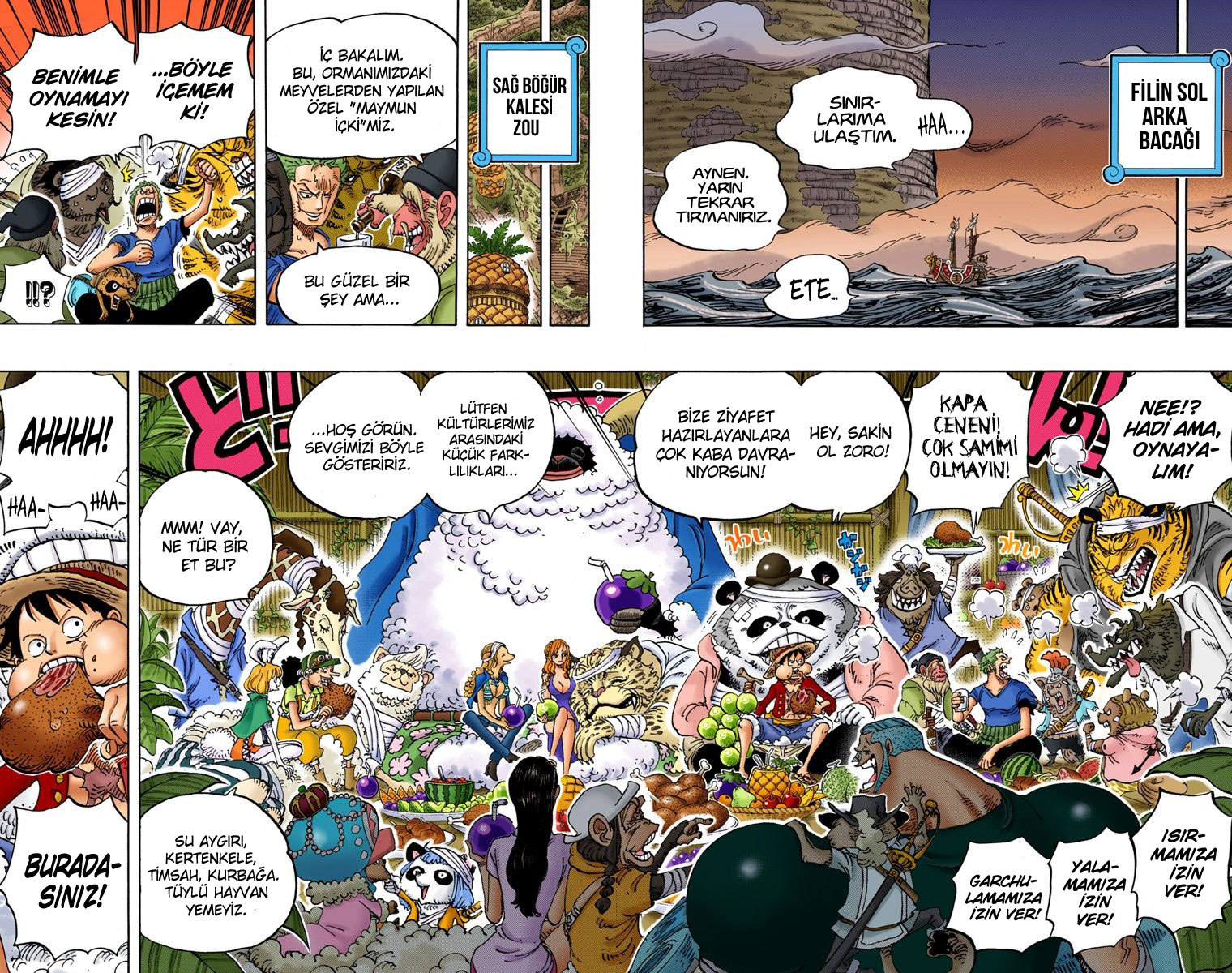 Read One Piece TR Manga Online