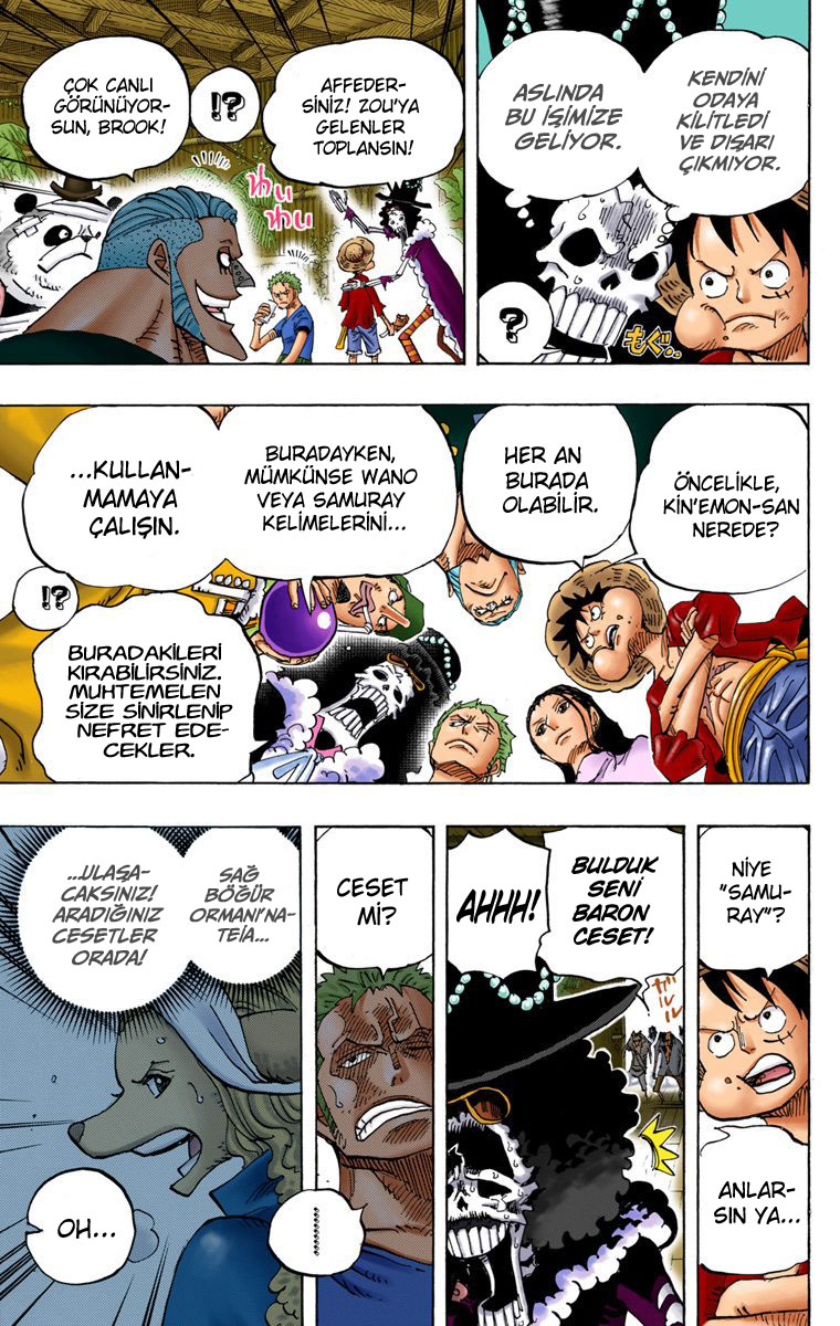 Read One Piece TR Manga Online
