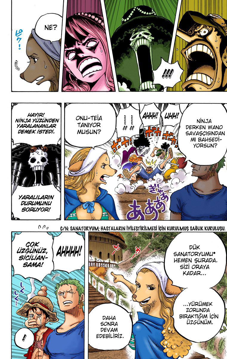 Read One Piece TR Manga Online