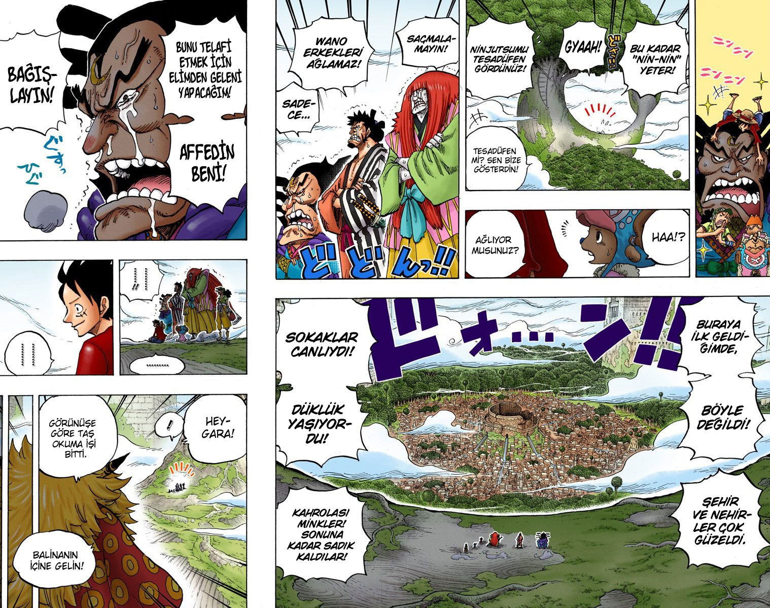 Read One Piece TR Manga Online