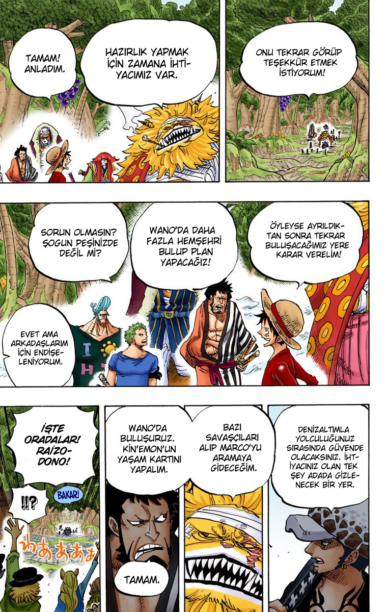 Read One Piece TR Manga Online