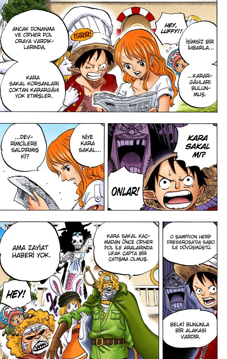 Read One Piece TR Manga Online