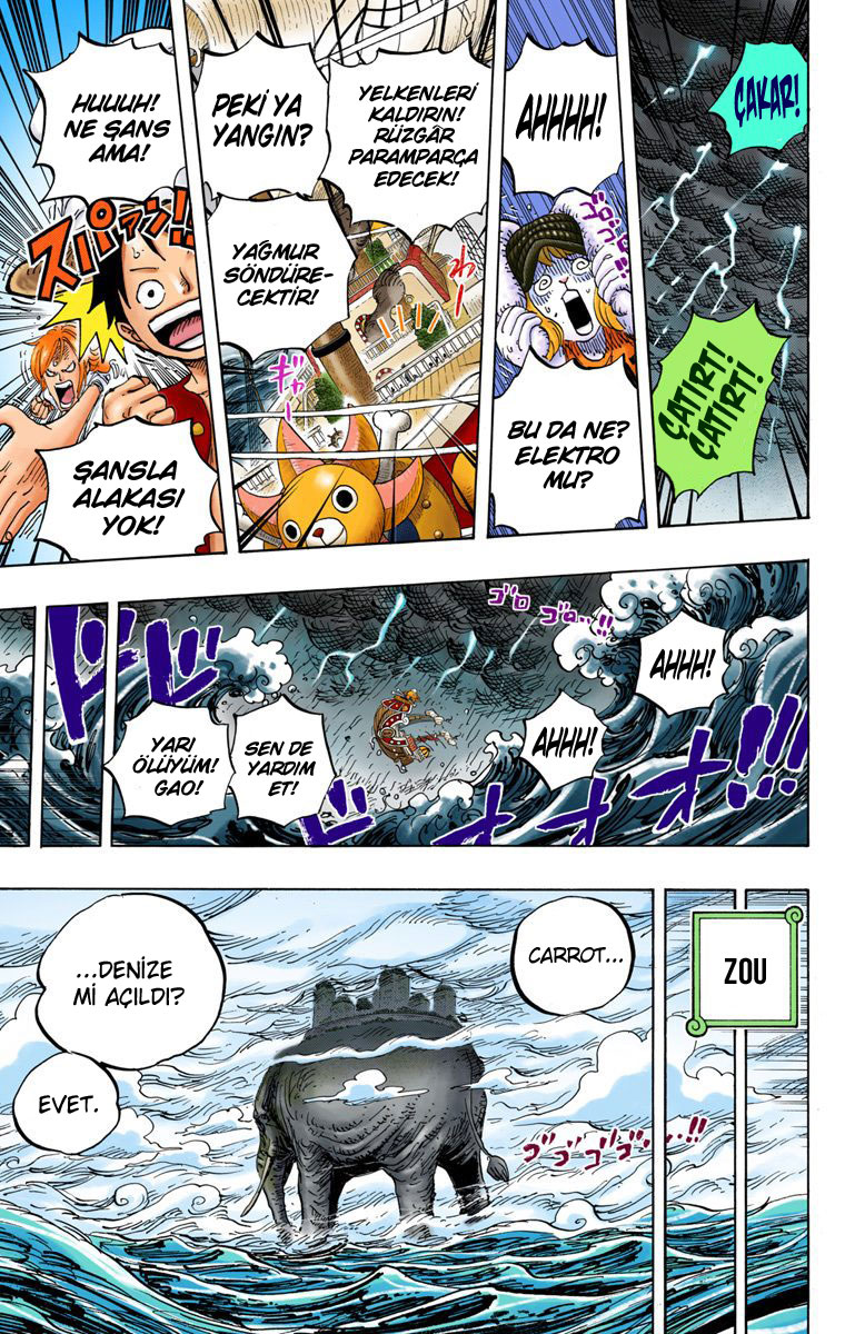 Read One Piece TR Manga Online