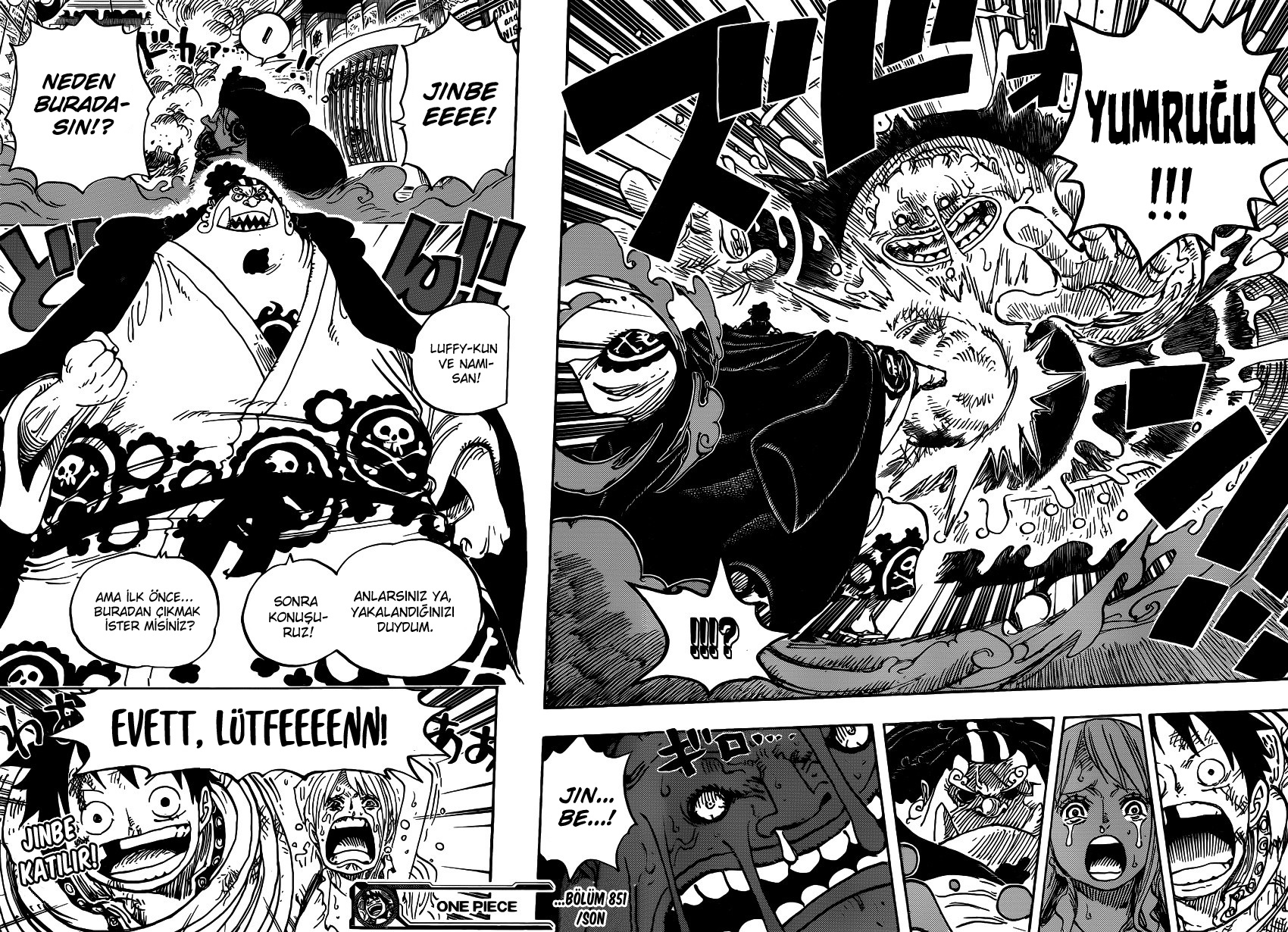 Read One Piece TR Manga Online