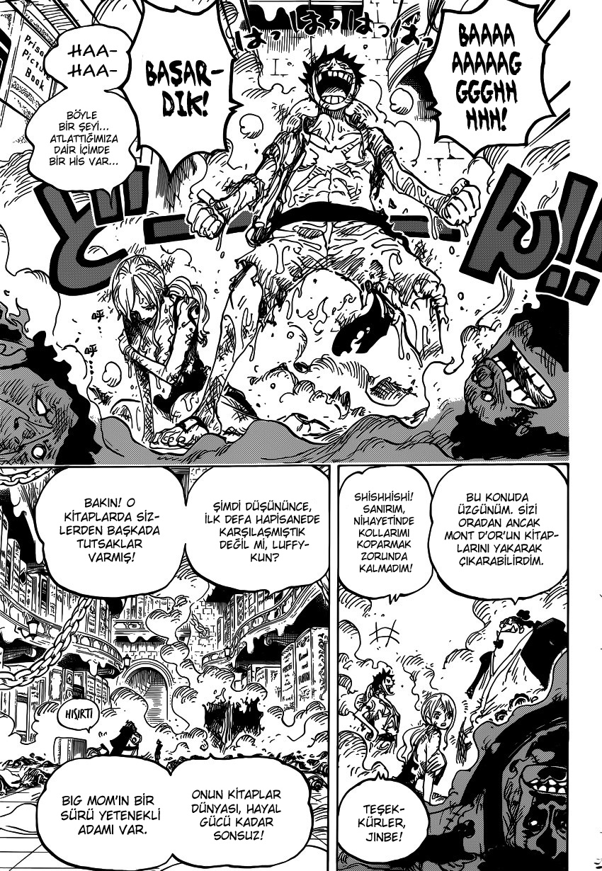 Read One Piece TR Manga Online