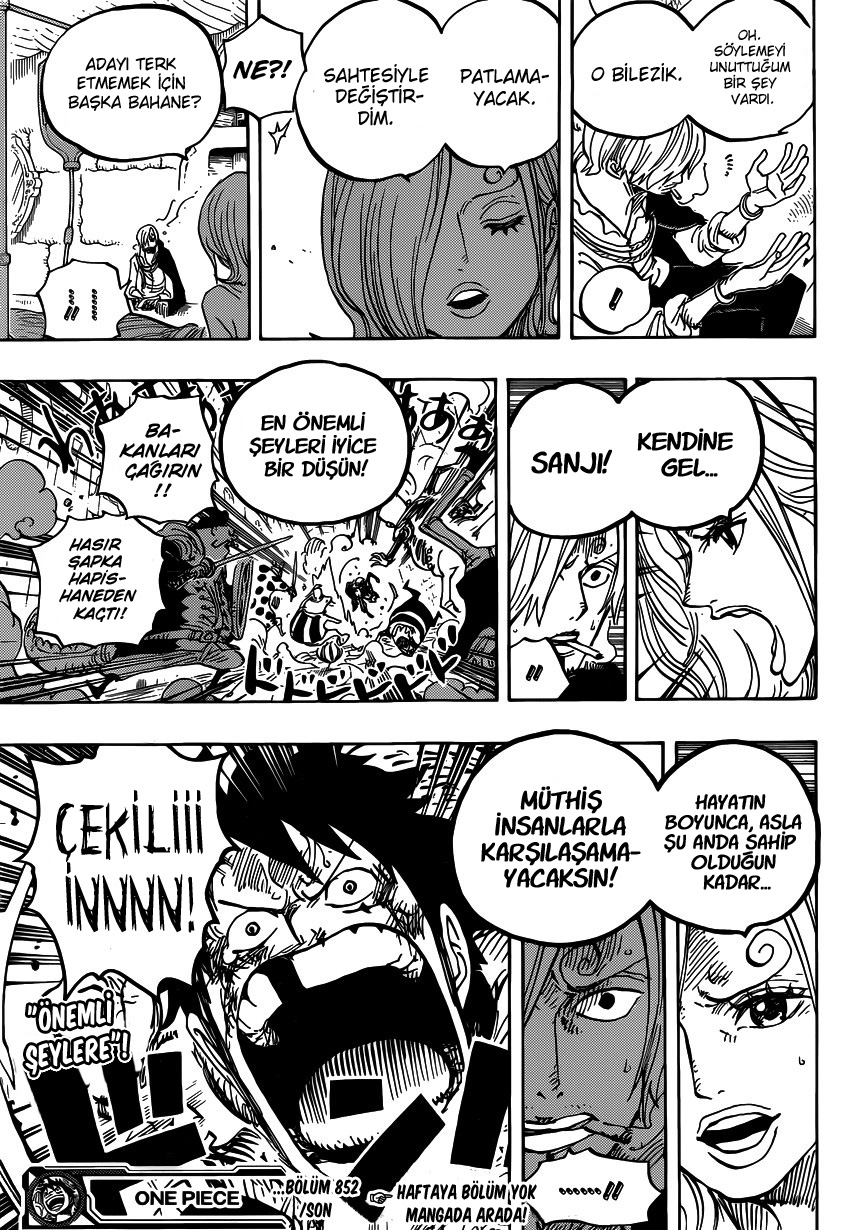 Read One Piece TR Manga Online