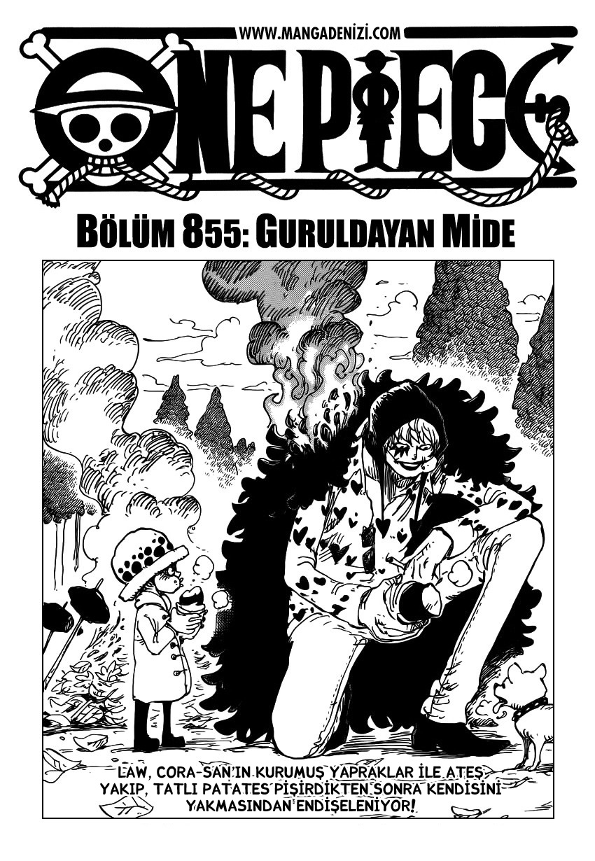 Read One Piece TR Manga Online