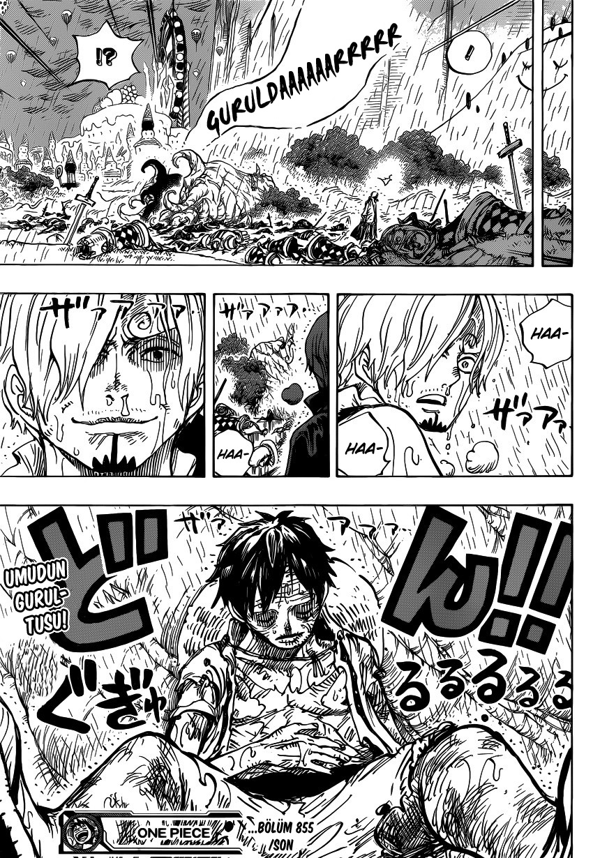 Read One Piece TR Manga Online
