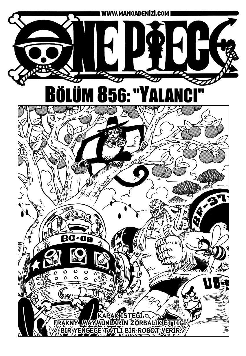 Read One Piece TR Manga Online