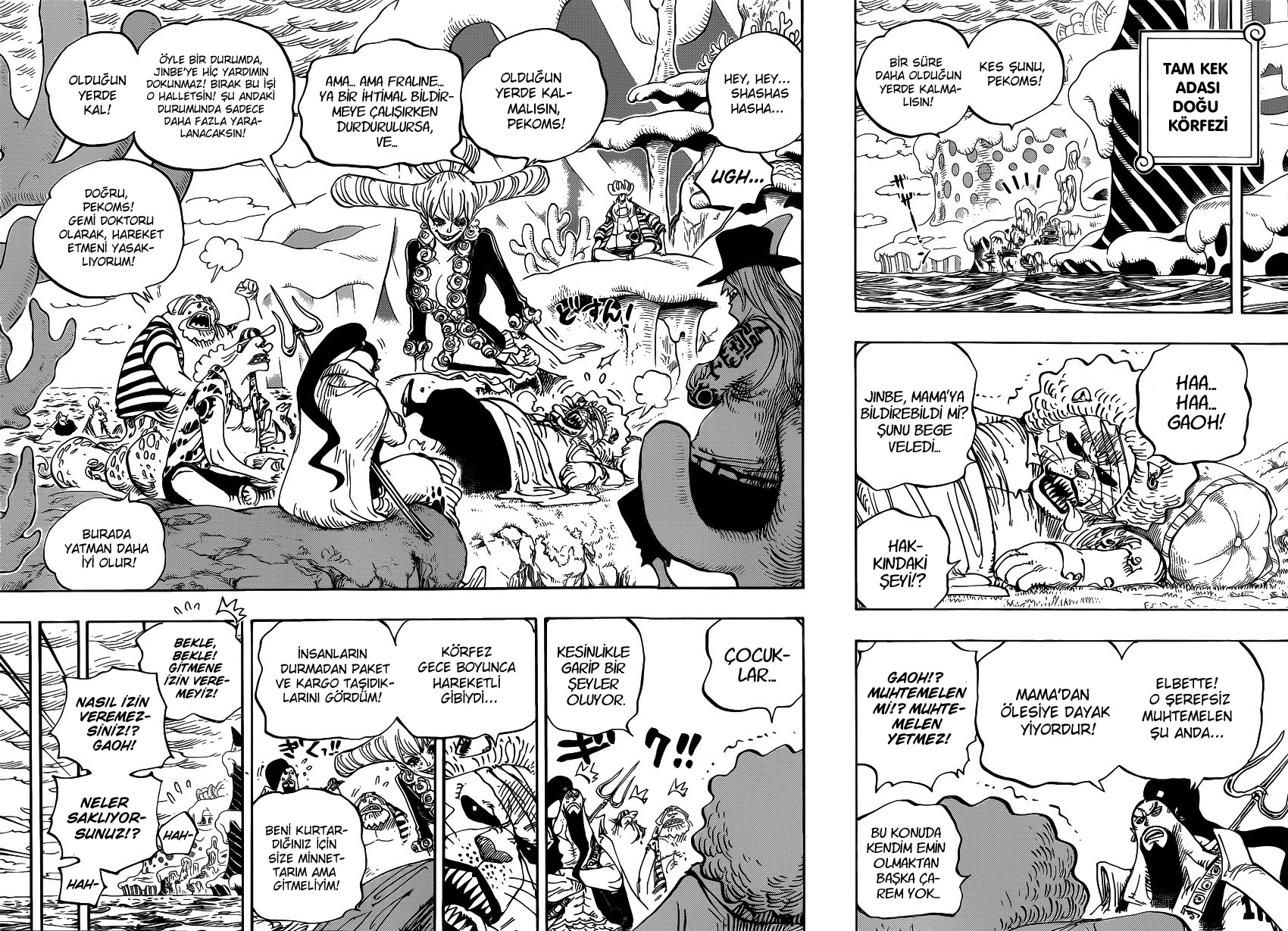 Read One Piece TR Manga Online