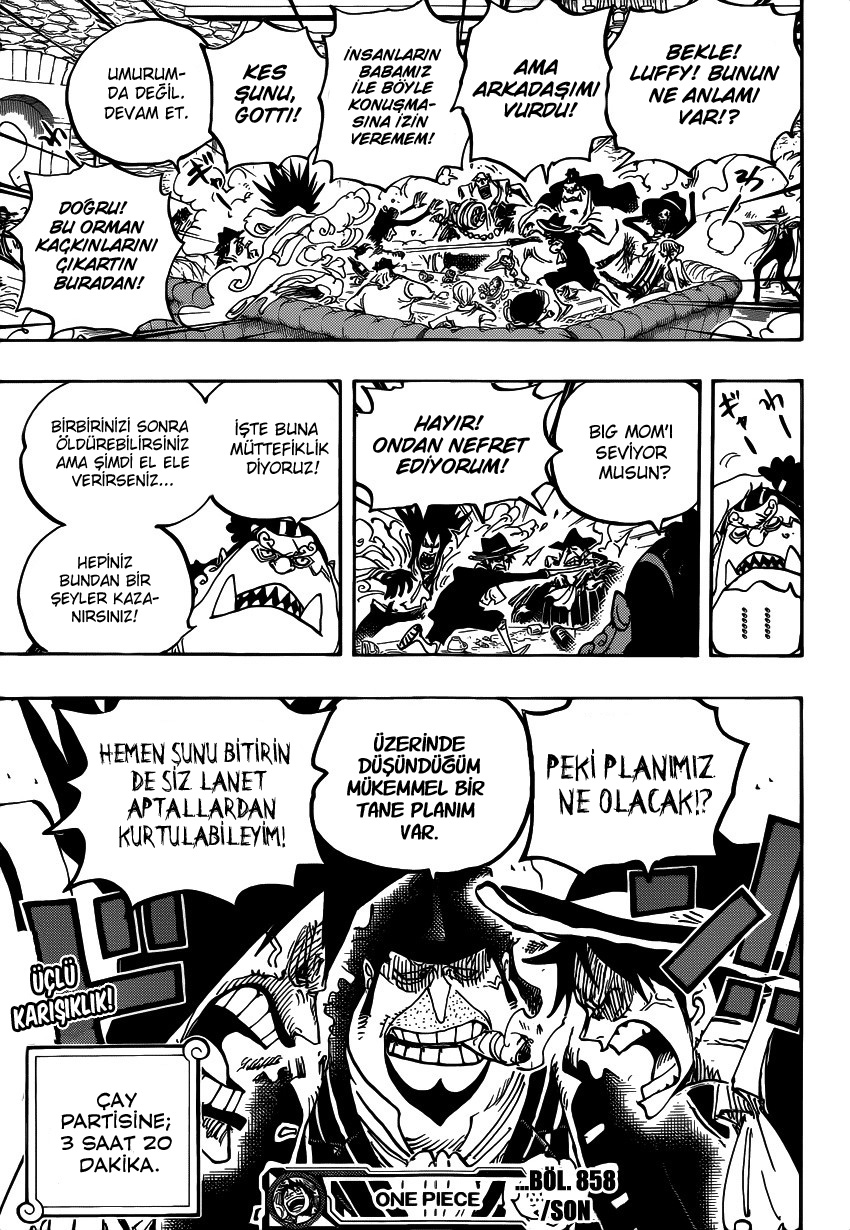 Read One Piece TR Manga Online