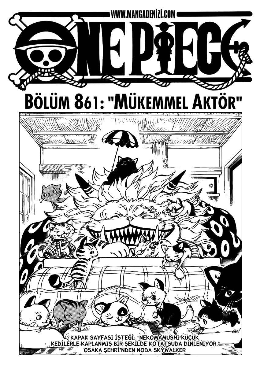 Read One Piece TR Manga Online