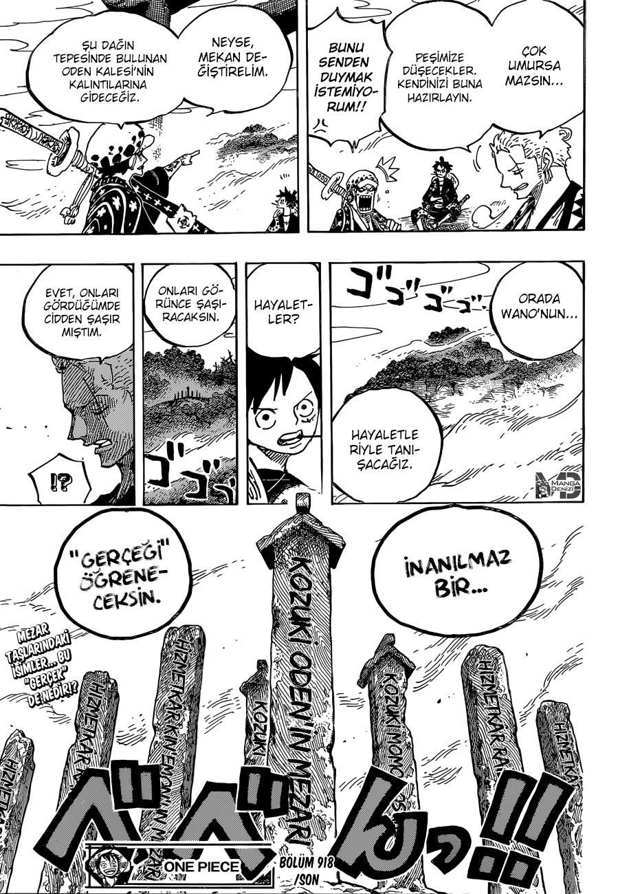 Read One Piece TR Manga Online