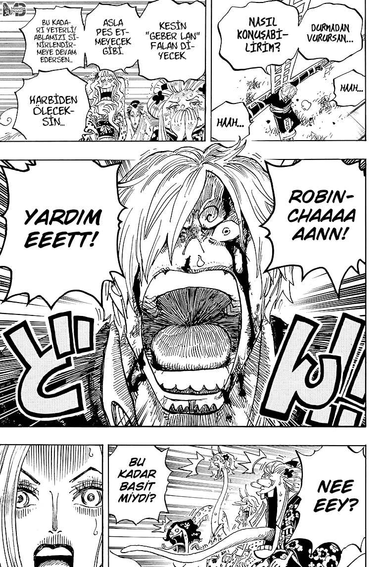 Read One Piece TR Manga Online