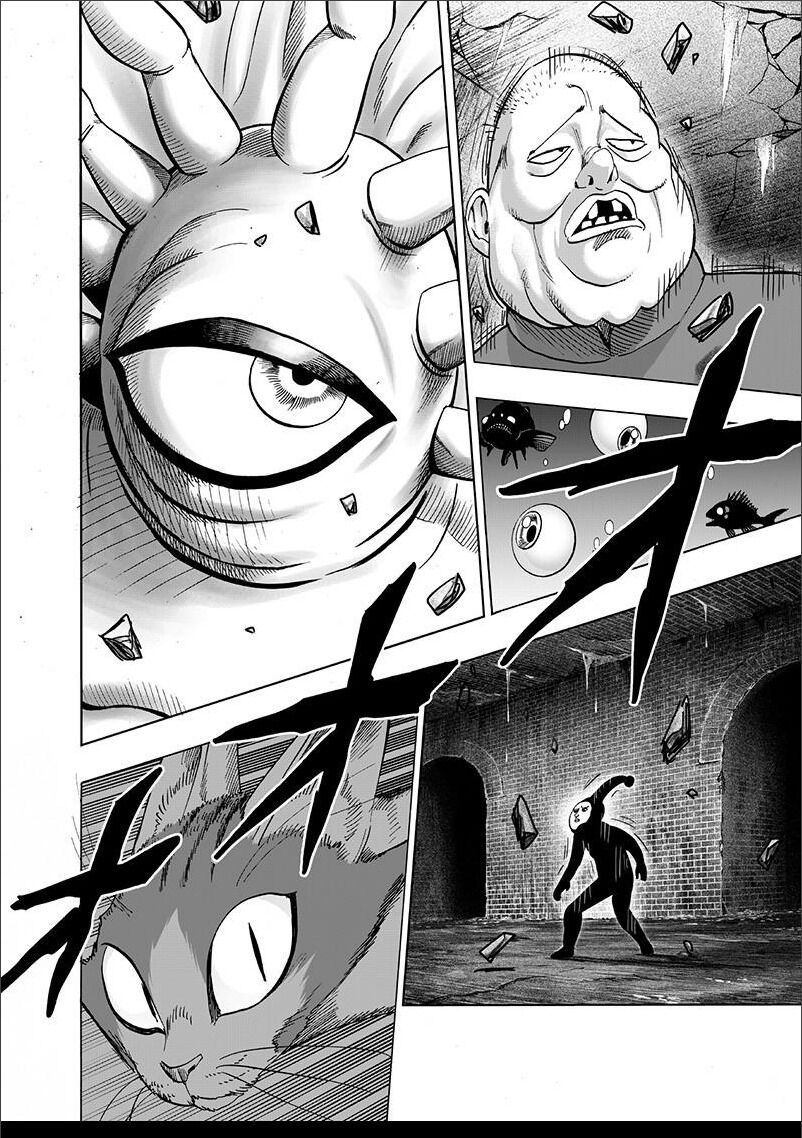 Read One Punch-Man TR Manga Online