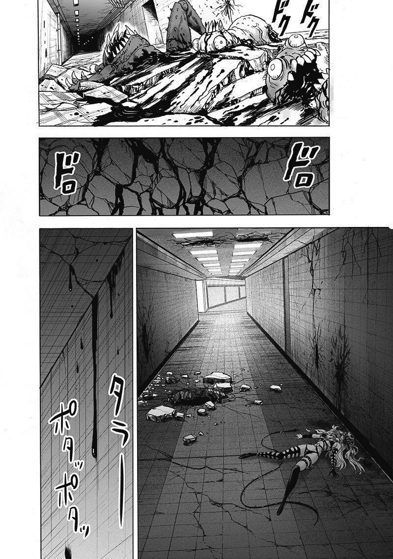 Read One Punch-Man TR Manga Online