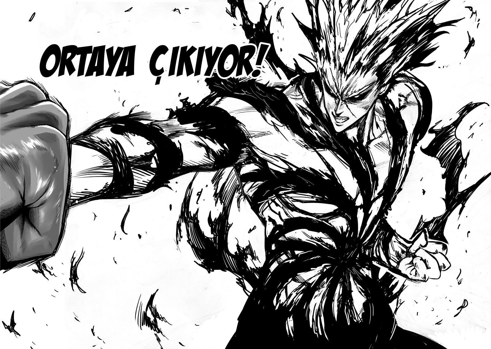 Read One Punch-Man TR Manga Online