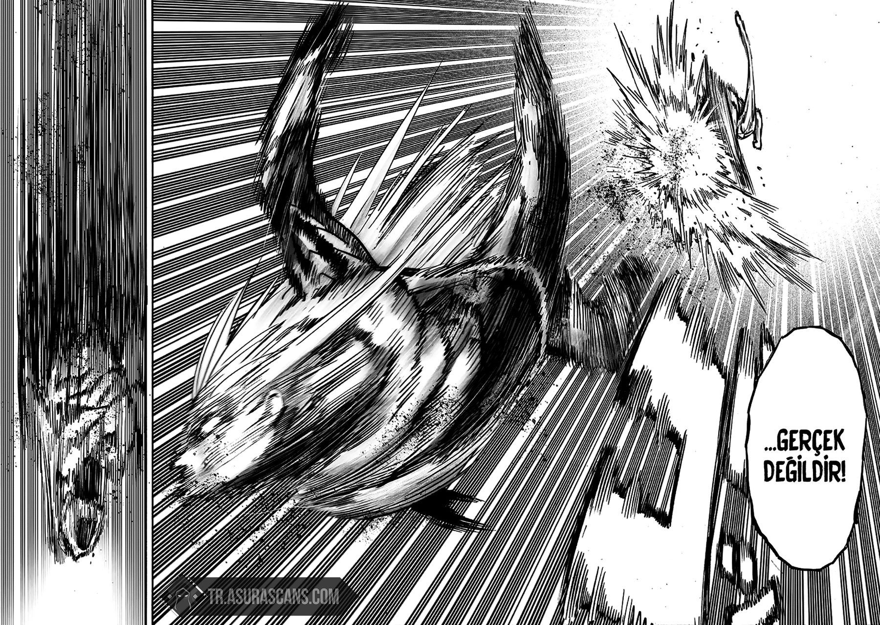 Read One Punch-Man TR Manga Online