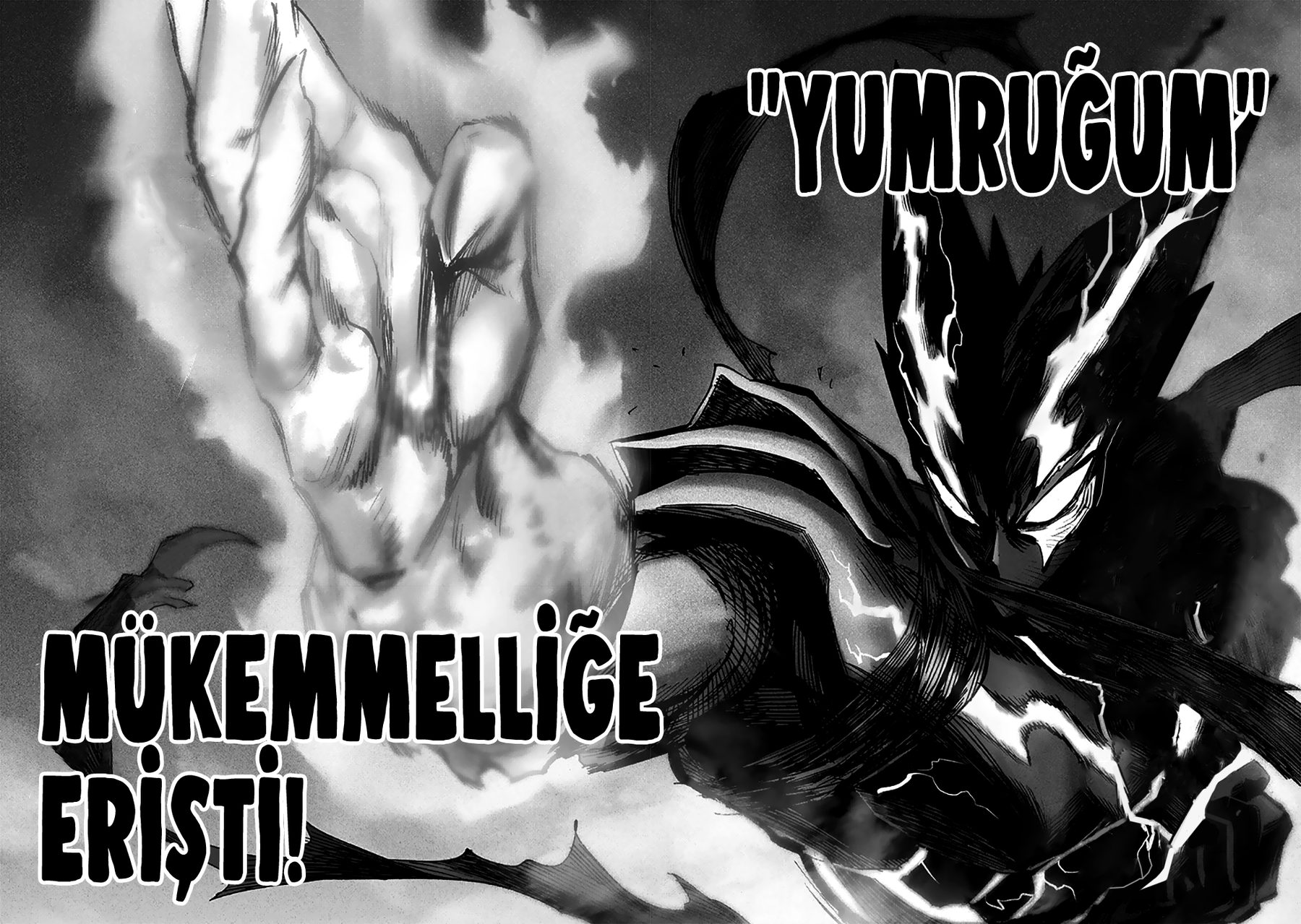 Read One Punch-Man TR Manga Online