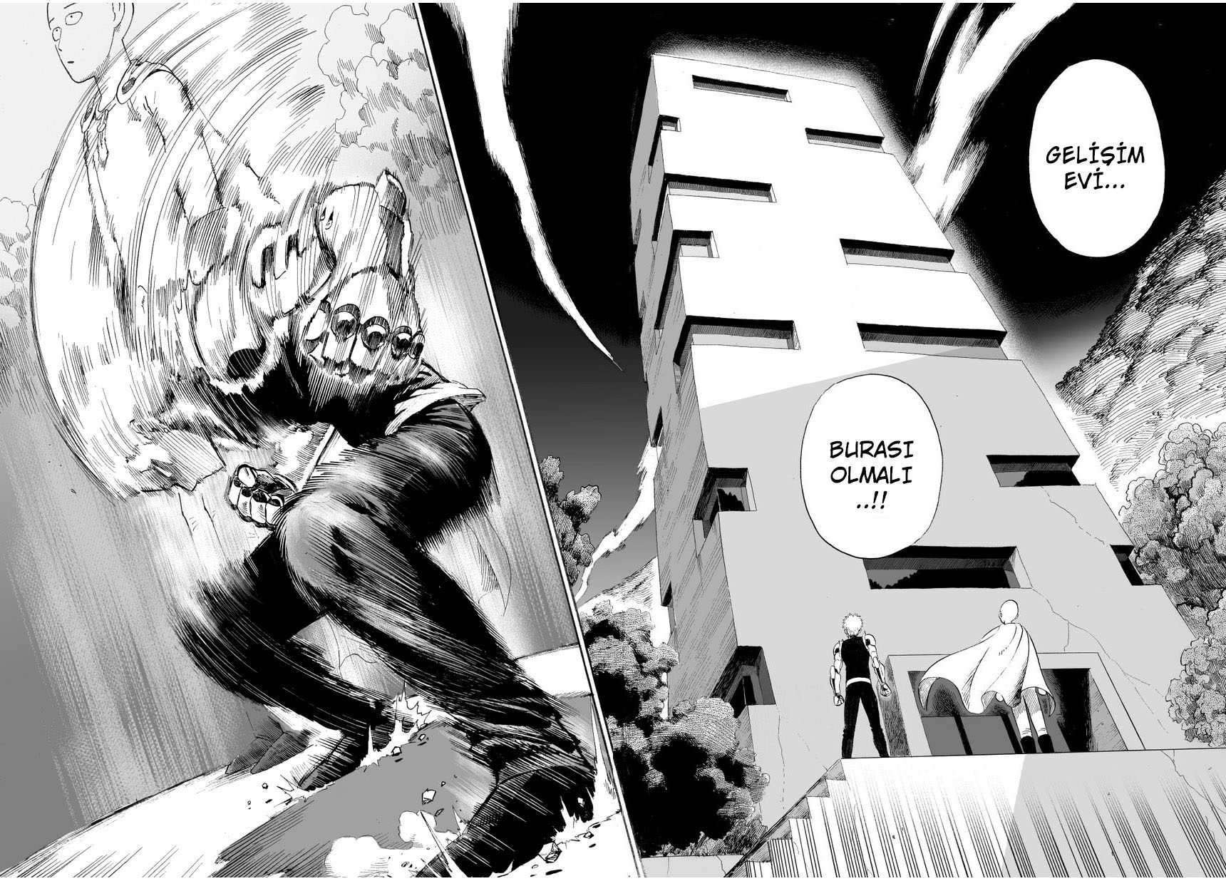 Read One Punch-Man TR Manga Online