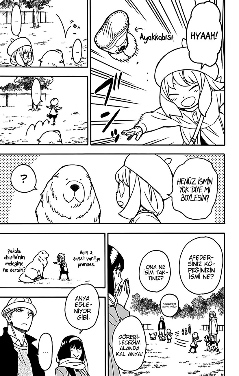 Read SPYxFAMILY TR Manga Online