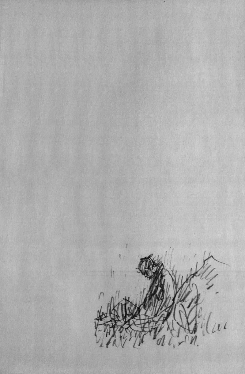 Read Vagabond TR Manga Online