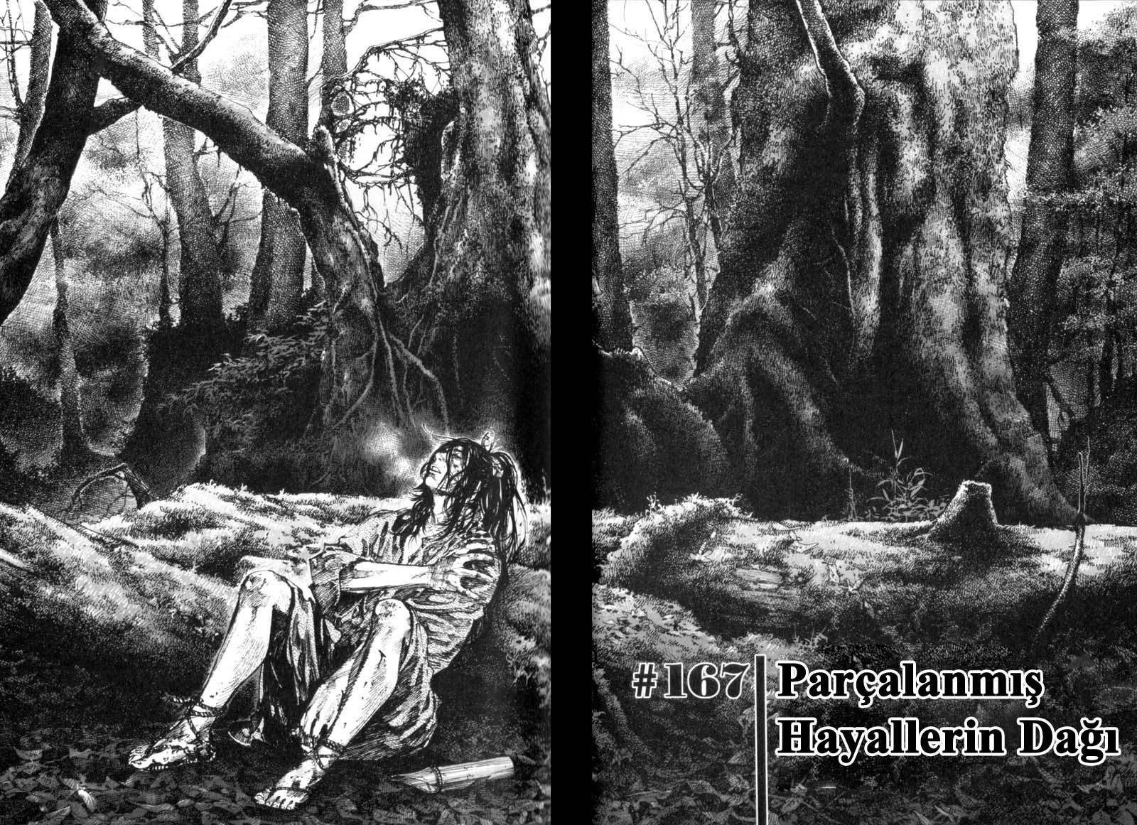 Read Vagabond TR Manga Online